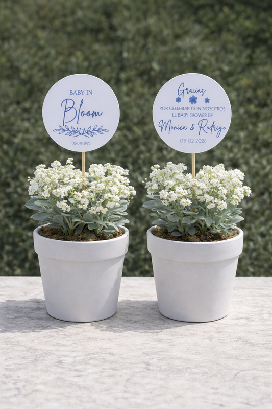 Two small potted plants with decorative signs on a stone surface.